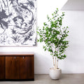 6’ Artificial Birch Tree Home Decor. Retail $199